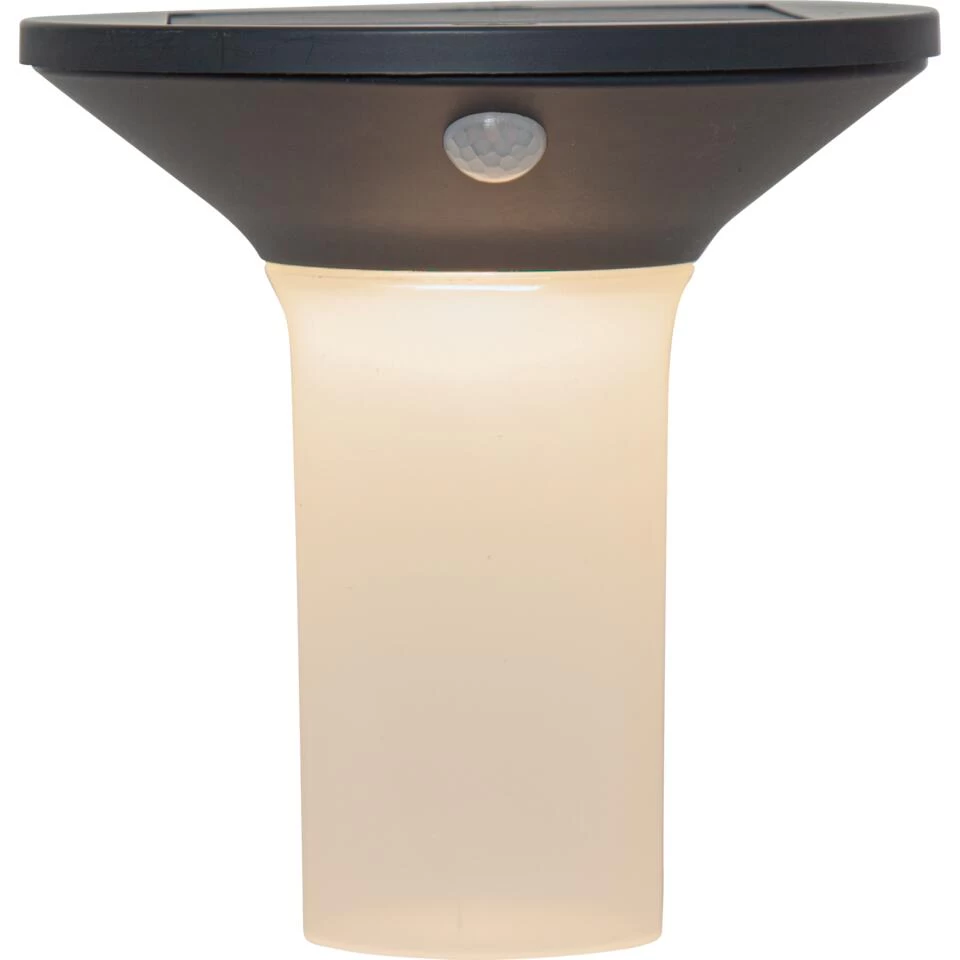 EGLO Corbezzola Wandlamp Buiten - LED - 16 cm - Sensor - Grafiet/Wit