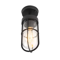 QAZQA Landelijke Buitenplafondlamp Zwart Met Glas IP44 - Elza